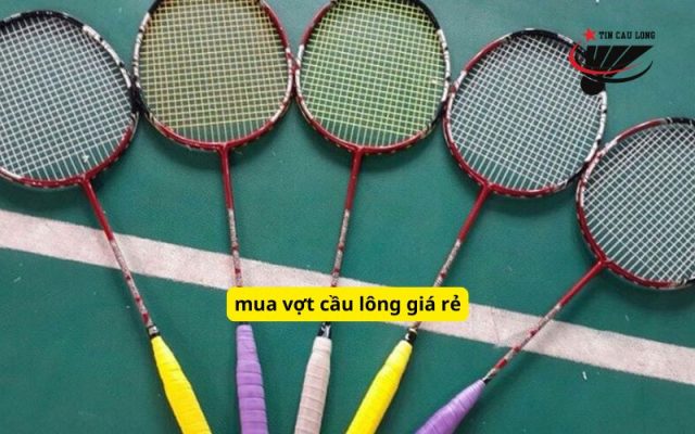 mua vợt cầu lông giá rẻ