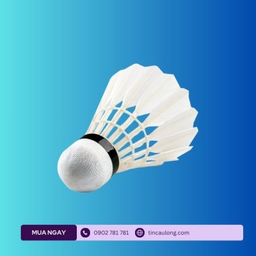 yonex-aerobite-boost