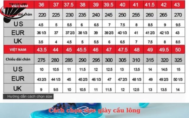 Cách chọn size giày cầu lông