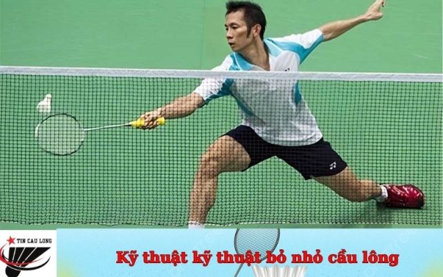 Kỹ thuật kỹ thuật bỏ nhỏ cầu lông